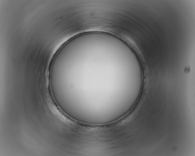 X0000110860892200906180942