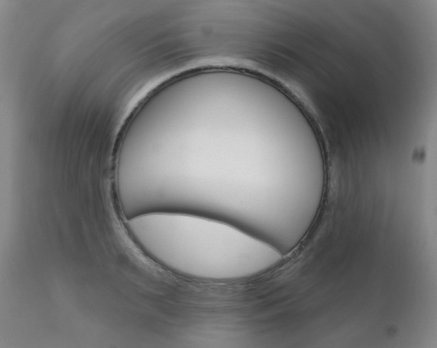 X0000110860895200906180942