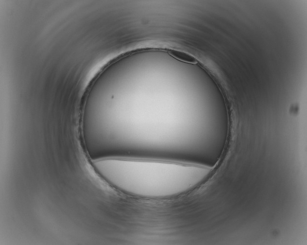 X0000110860896200906180942