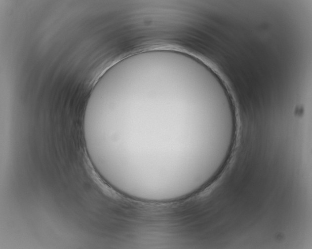 X0000110860897200906180942