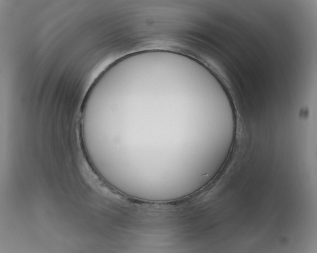 X0000110860899200906180942