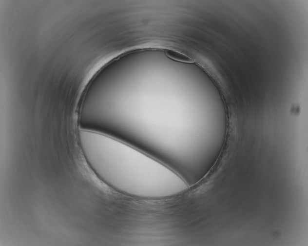 X0000110860900200906180942
