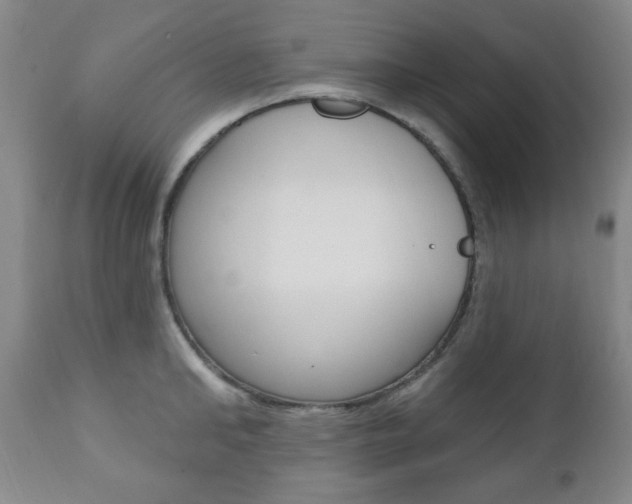 X0000110860902200906180942