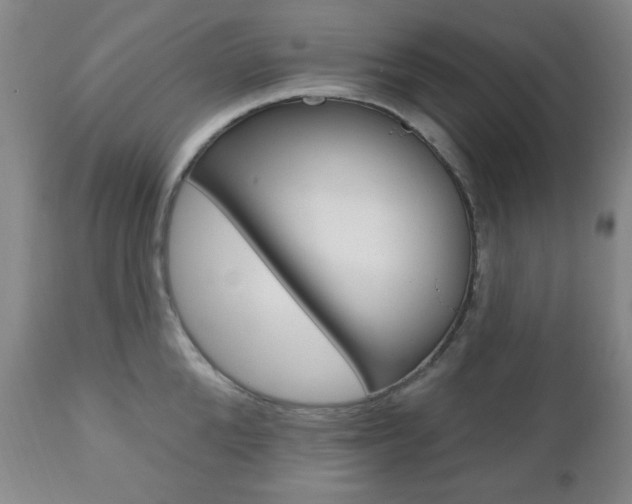 X0000110860904200906180942