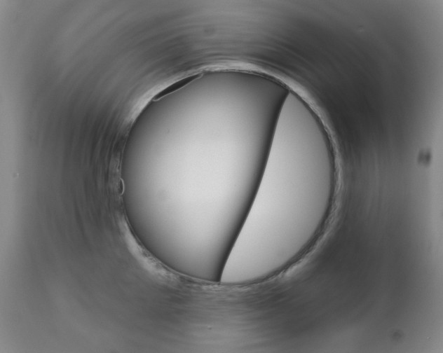 X0000110860905200906180942