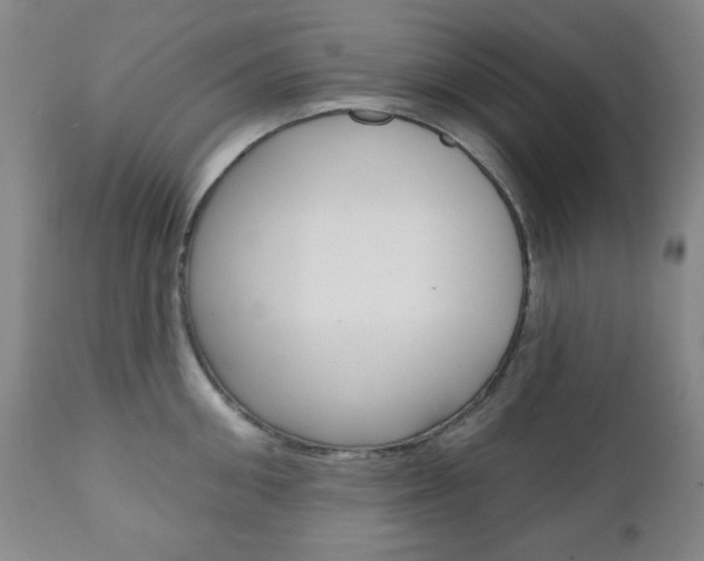 X0000110860906200906180942