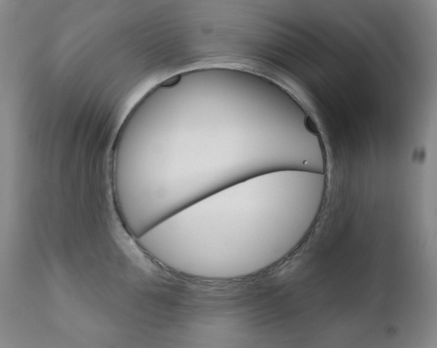 X0000110860907200906180942