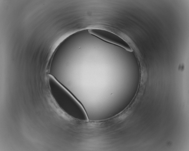 X0000110860908200906180942
