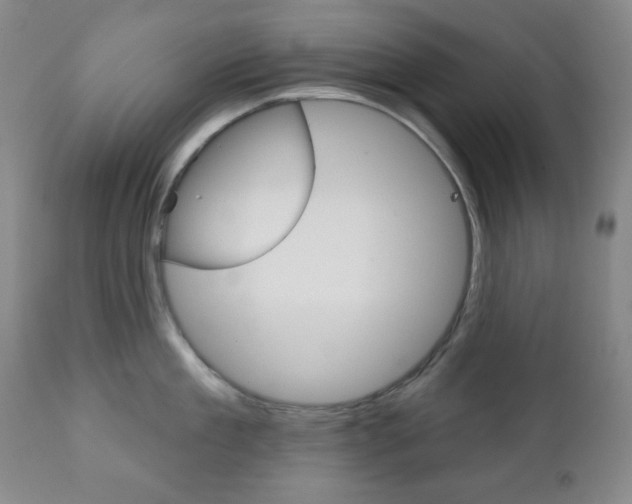 X0000110860909200906180942