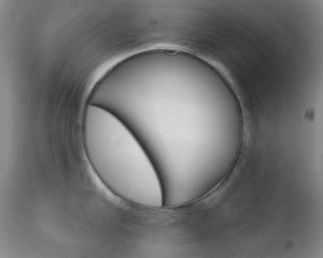 X0000110860910200906180942