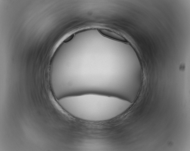 X0000110860911200906180942