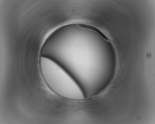 X0000110860912200906180942