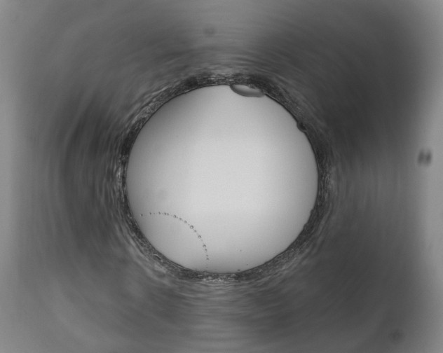 X0000110860914200906180942