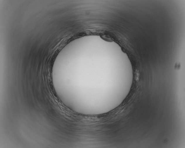 X0000110860915200906180942