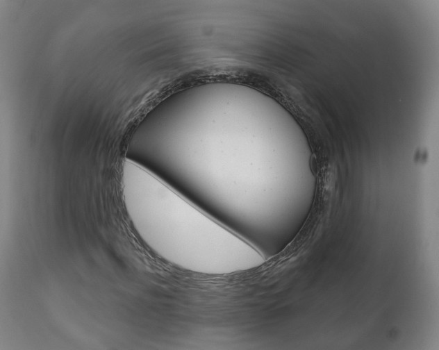 X0000110860916200906180942