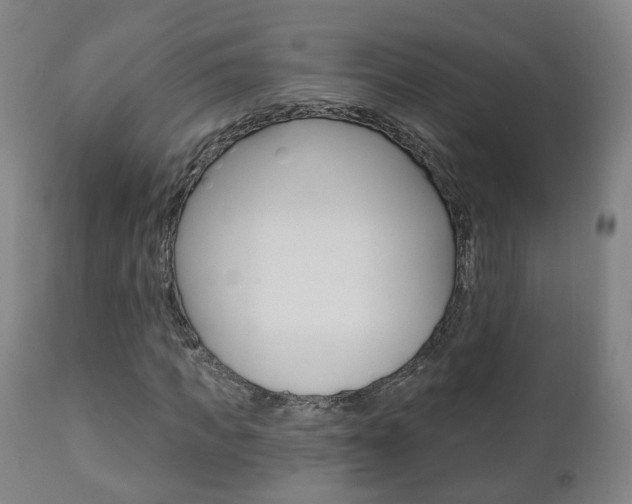 X0000110860917200906180942