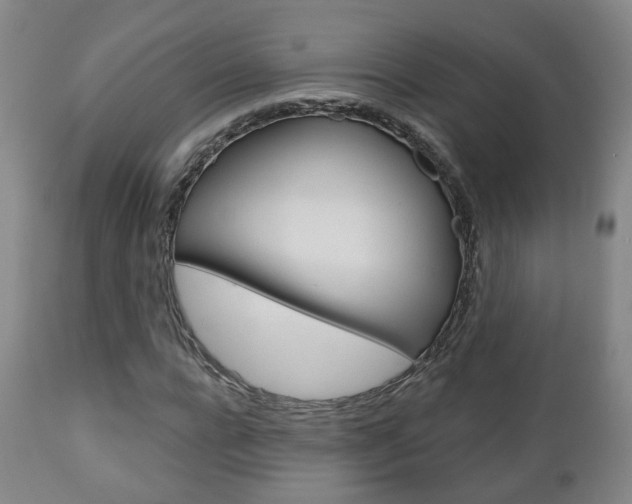 X0000110860920200906180942