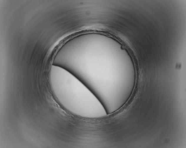 X0000110860923200906180942