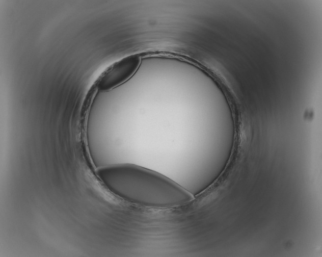 X0000110860924200906180942