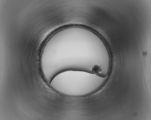 X0000110860926200906180942