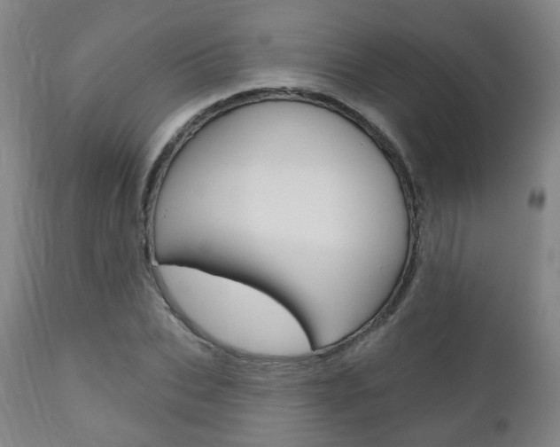 X0000110860927200906180942