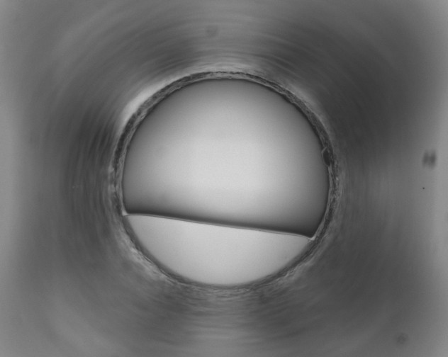 X0000110860928200906180942