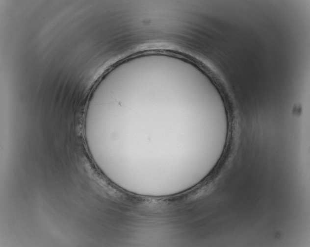 X0000110860929200906180942