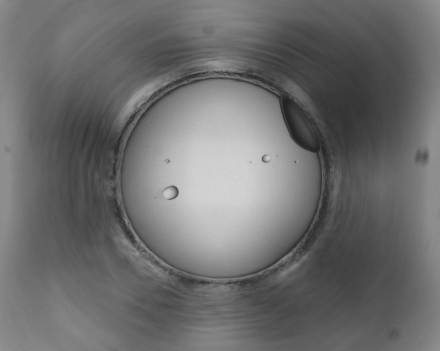 X0000110860930200906180942