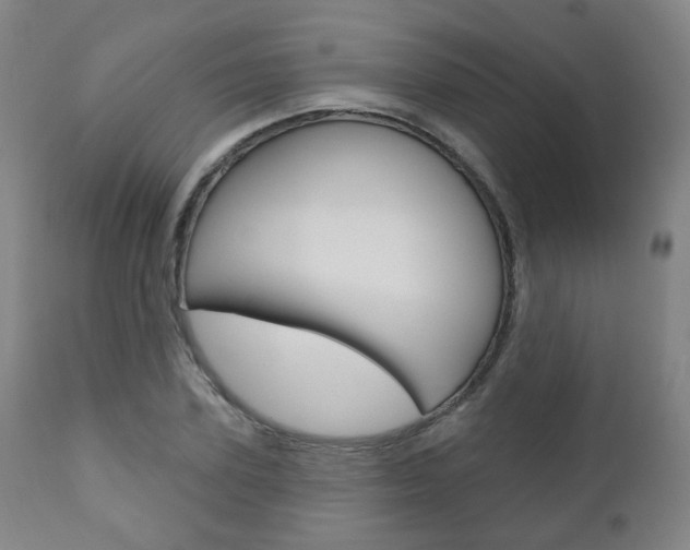 X0000110860931200906180942