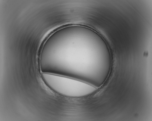X0000110860932200906180942