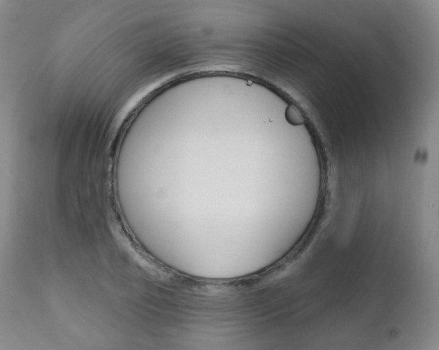 X0000110860933200906180942