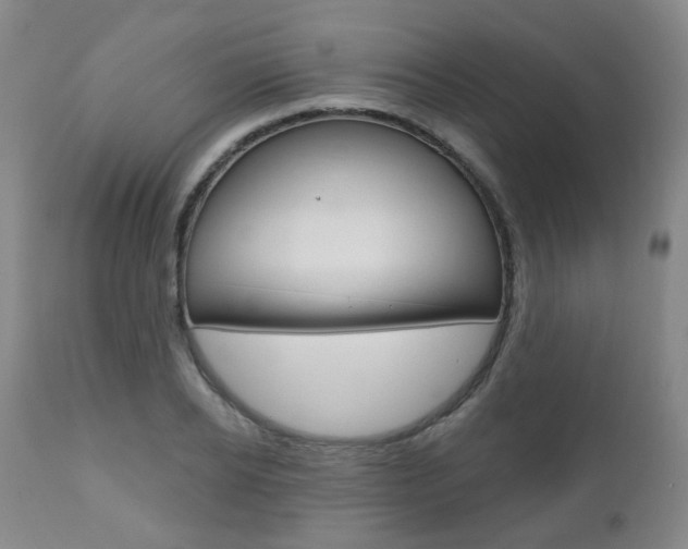 X0000110860934200906180942