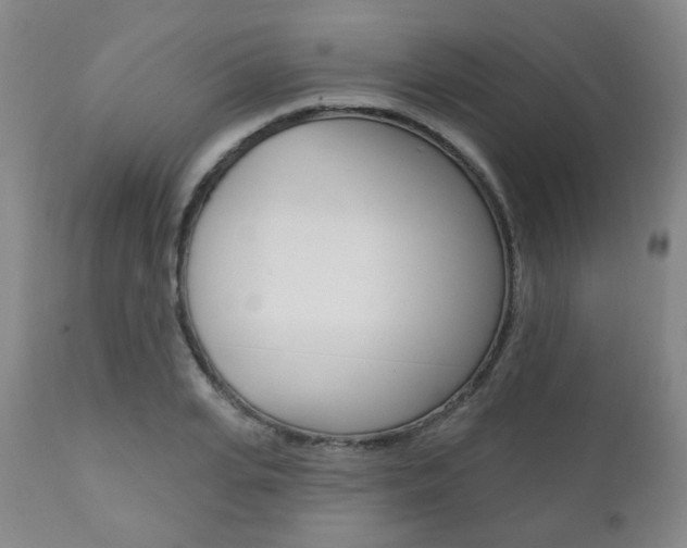 X0000110860935200906180942