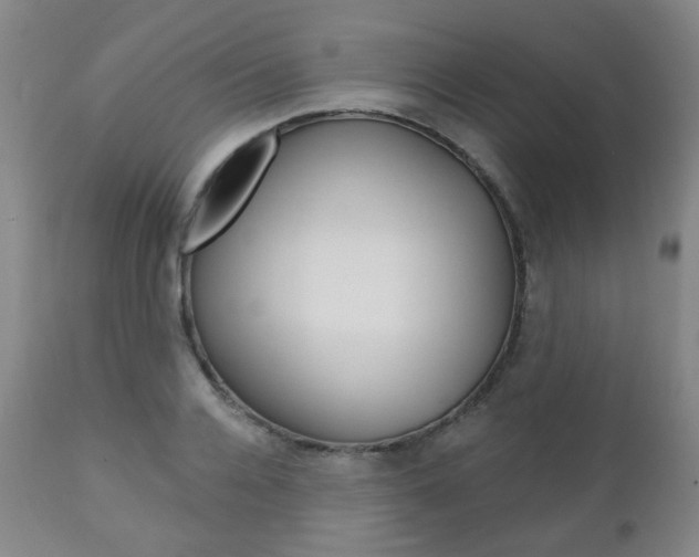 X0000110860936200906180942
