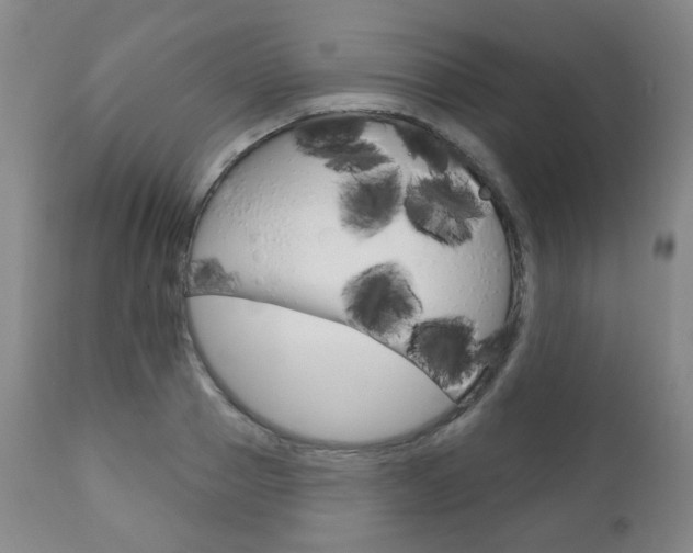 X0000110860937200906180942