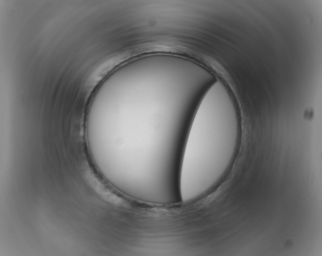 X0000110860938200906180942