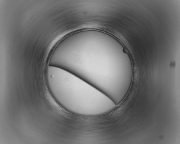X0000110860939200906180942