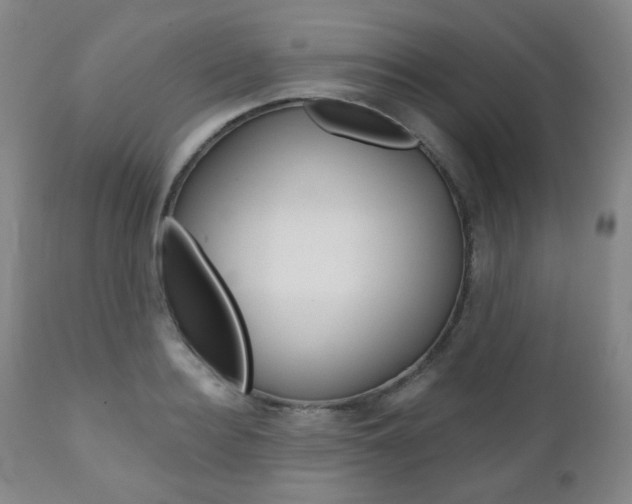 X0000110860940200906180942