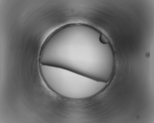 X0000110860943200906180942