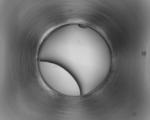 X0000110860947200906180942