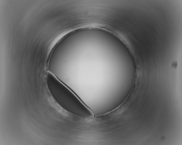 X0000110860948200906180942