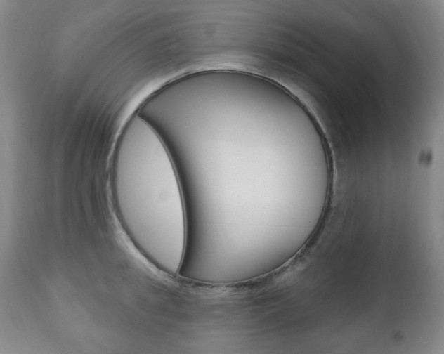 X0000110860949200906180942