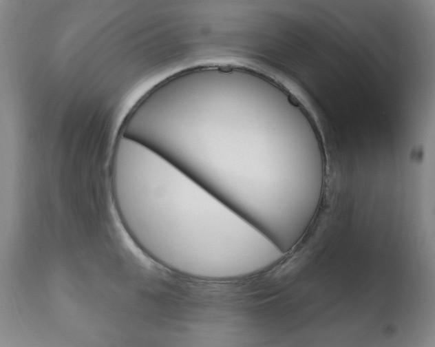 X0000110860951200906180942