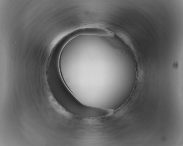 X0000110860952200906180942