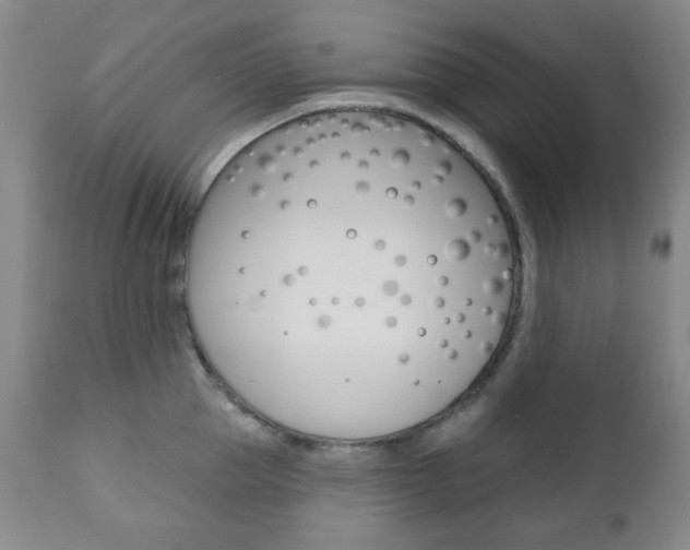 X0000110860953200906180942