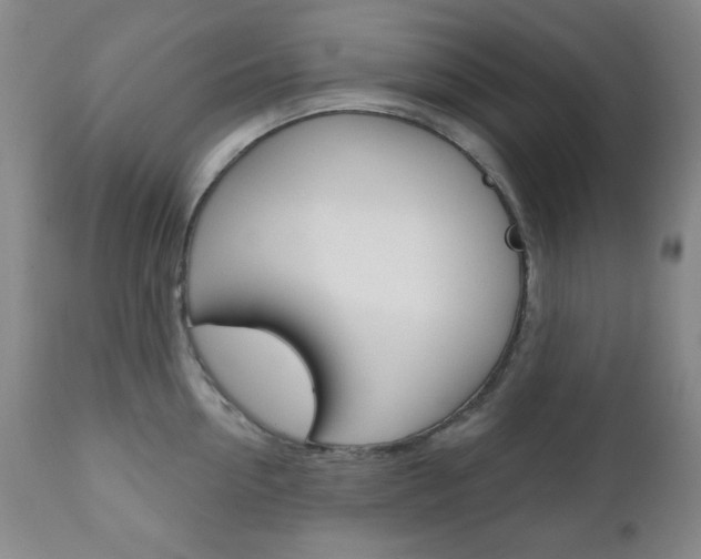X0000110860954200906180942