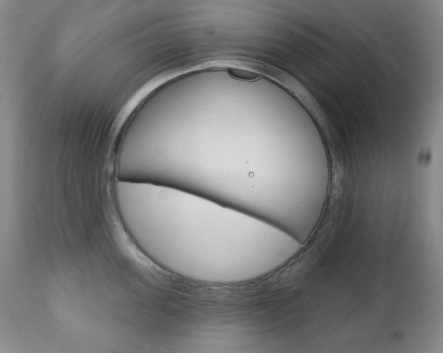 X0000110860955200906180942