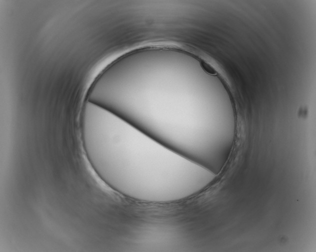 X0000110860959200906180942
