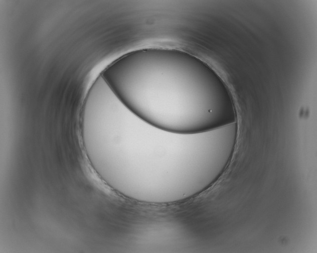 X0000110860960200906180942