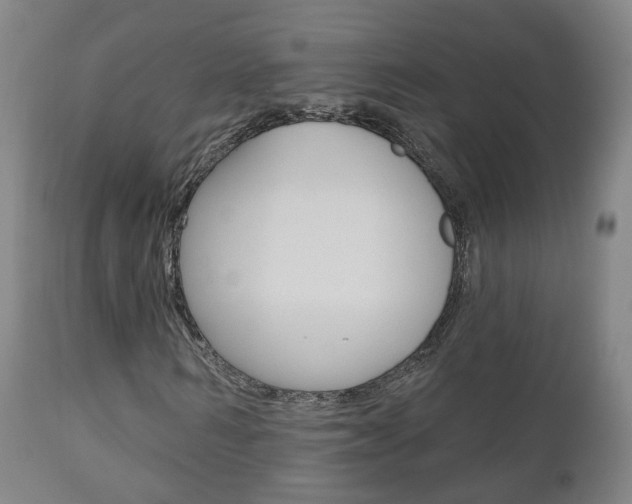 X0000110860962200906180942